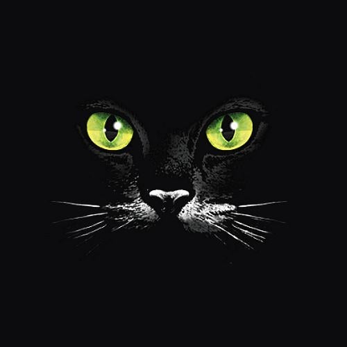 EYES (black cat) (1058)
