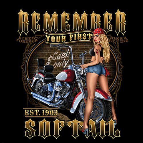 1903 SOFTAIL (1074)