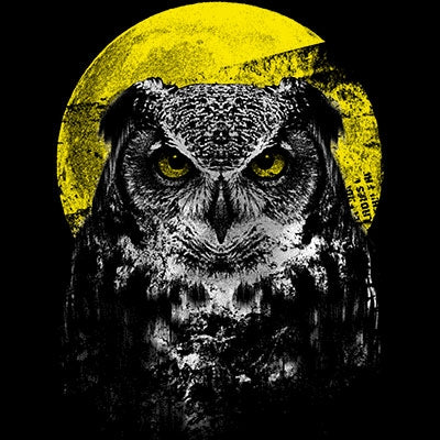 NIGHT OWL (1051)