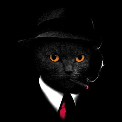 AGENT CAT (754)