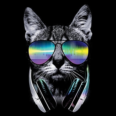 DJ CAT (847)
