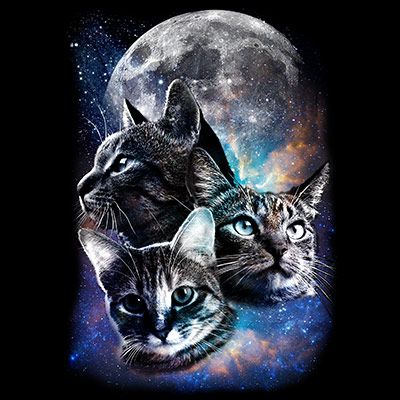 NAISTEN CLASSIC HUPPARI MUSTA - SPACE CATS MOON (494)