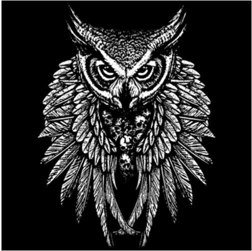 OWL SKULL WINGS (932)