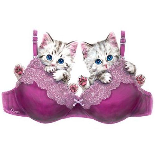 VICTORIA'S SECRET (460)