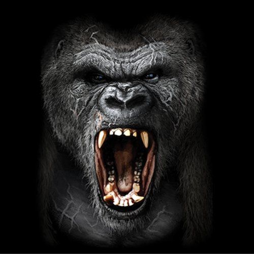 GORILLA ROAR (860)