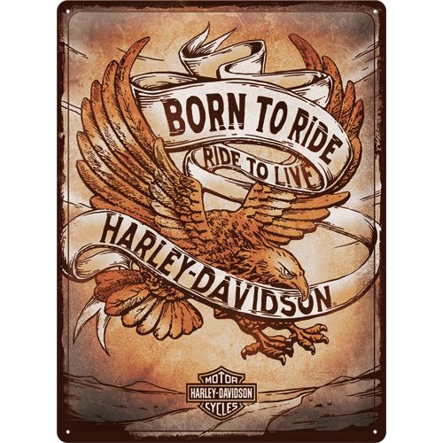 Kilpi 30x40 Harley Davidson - Born to Ride Eagle
