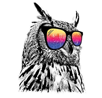 COOL OWL (450)