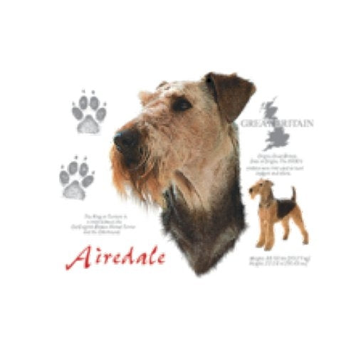 AIREDALE (4635)