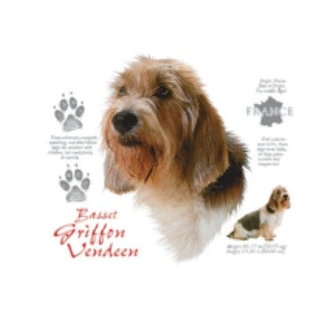 BASSET GRIFFON VENDEEN (4642)