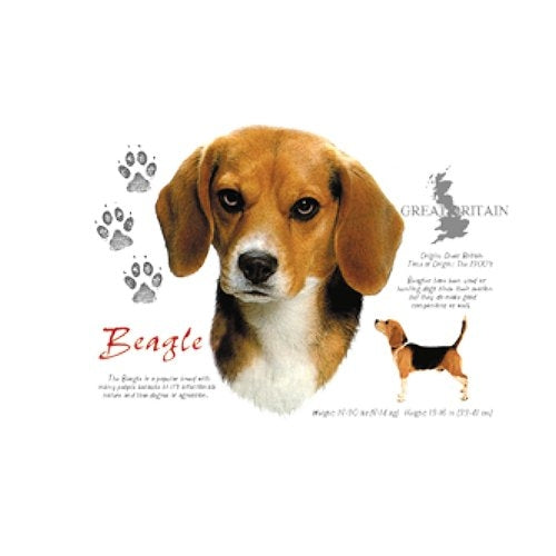 BEAGLE (4643)