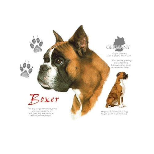 BOXER (4657)