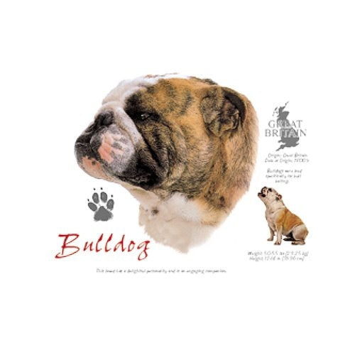 BULLDOG (4662)