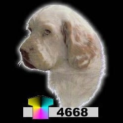 CLUMBER SPANIEL (4668)