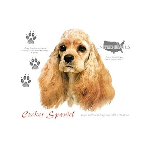 COCKER SPANIEL (4669)