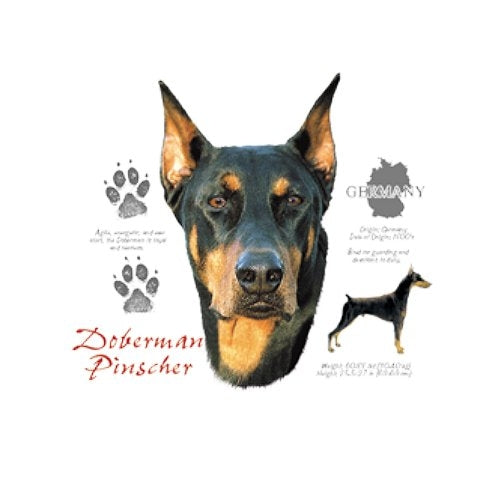 DOBERMAN (4676)