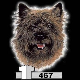 CAIRN TERRIER (467)