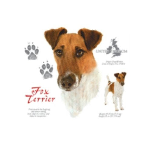 FOX TERRIER (4683)