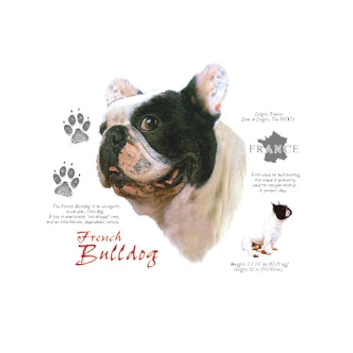 FRENCH BULLDOG (4685)