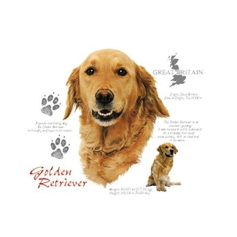 GOLDEN RETRIEVER (4688)