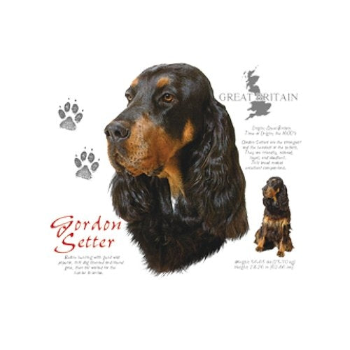 GORDON SETTER (4689)