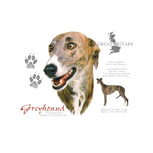 GREYHOUND (4692)