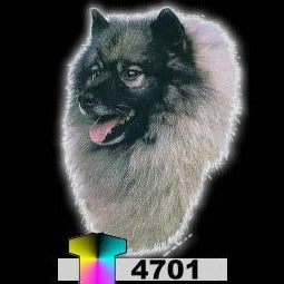 KEESHOND (4701)