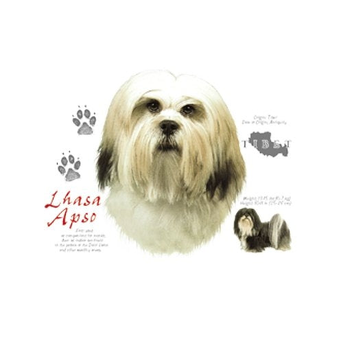 LHASA APSO (4708)