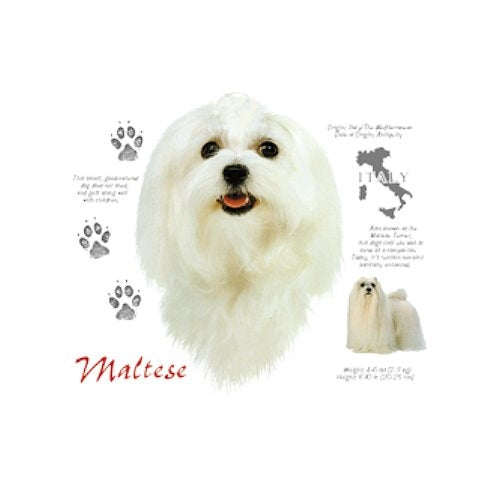 MALTESE (4710)