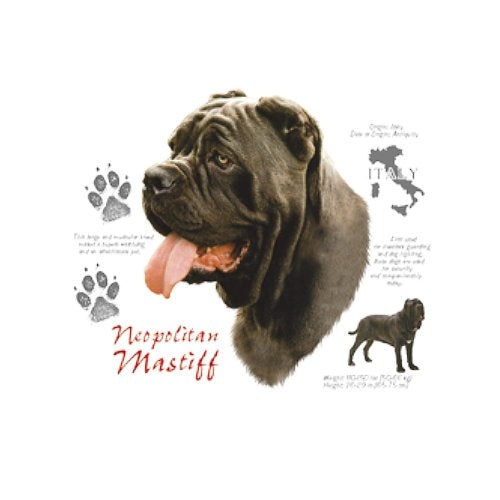 NEOPOLITAN MASTIFF (4714)