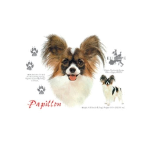 PAPILLON (4721)
