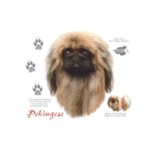 PEKINESE (4722)