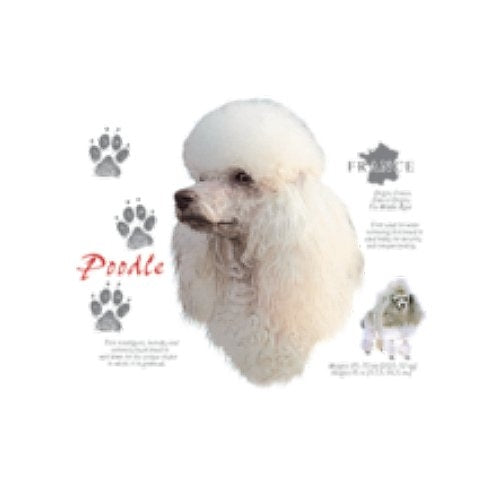 POODLE (4726)