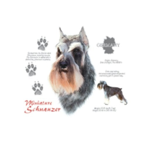 MINIATURE SCHNAUZER (4737)