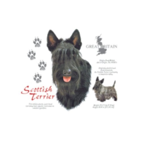 SCOTTISH TERRIER (4739)