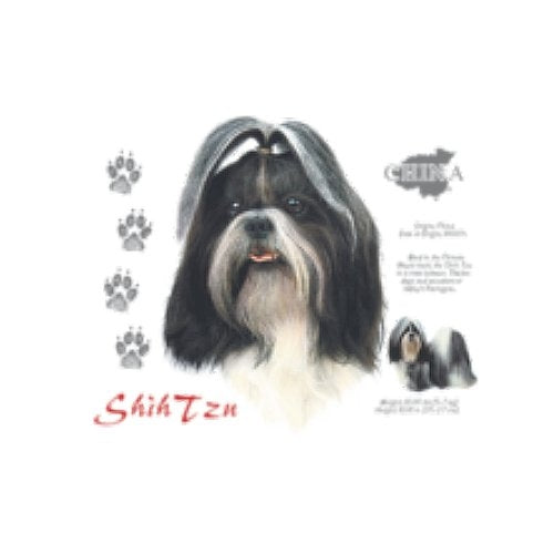 SHIH TZU (4742)