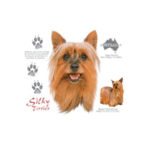 SILKY TERRIER (4744)