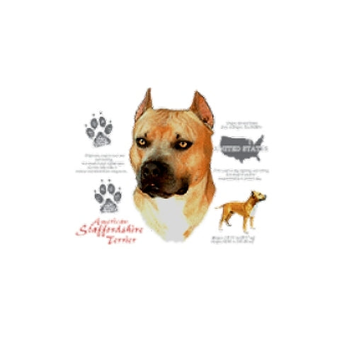 STAFFORDSHIRE BULL TERRIER (4747)