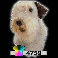 SEALYHAM TERRIER (4759)
