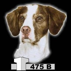 ENGLISH SPANIEL (475B)