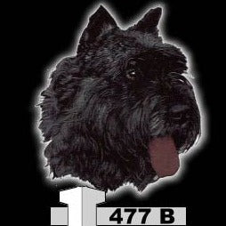 BOUVIER DES LANDER (477B)