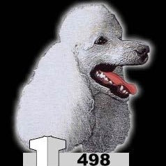 POODLE WHITE (498)