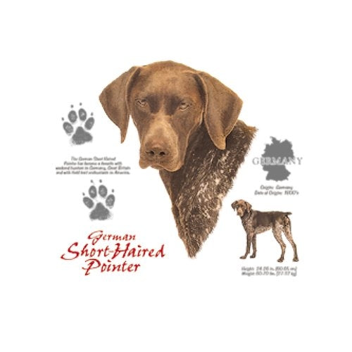 GERMAN SHORT-HAIRED POINTER (5039)