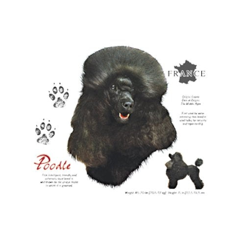 POODLE (5040)