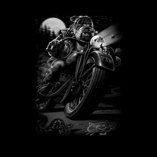 CATS SUCK BIKER (544A)