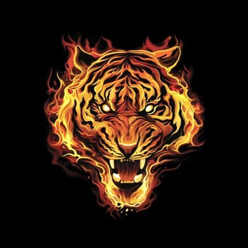 FLAMING TIGER (606A)
