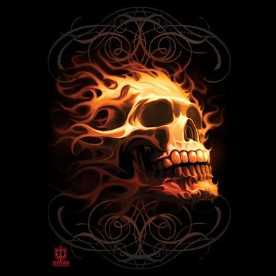 FIRE SKULL (614)