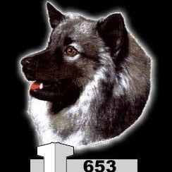KEESHOND (653)