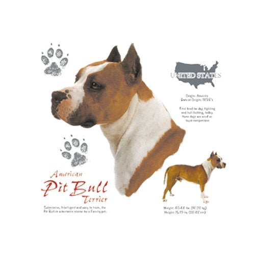 PIT BULL TERRIER (6868)