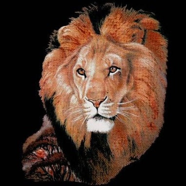 PAINATUS: Lion (704)