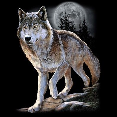 CLASSIC HUPPARI musta - WOLF ALERT (750)